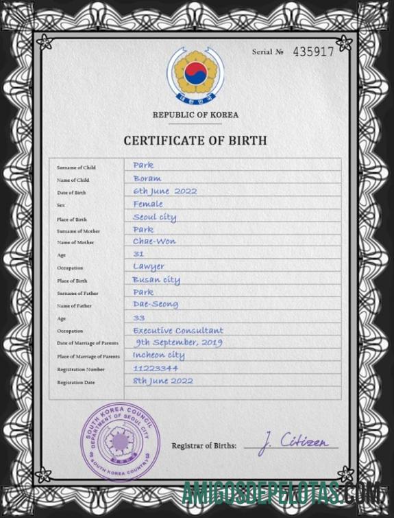 Em branco modelo PSD de certidão de nascimento da Coreia do Sul